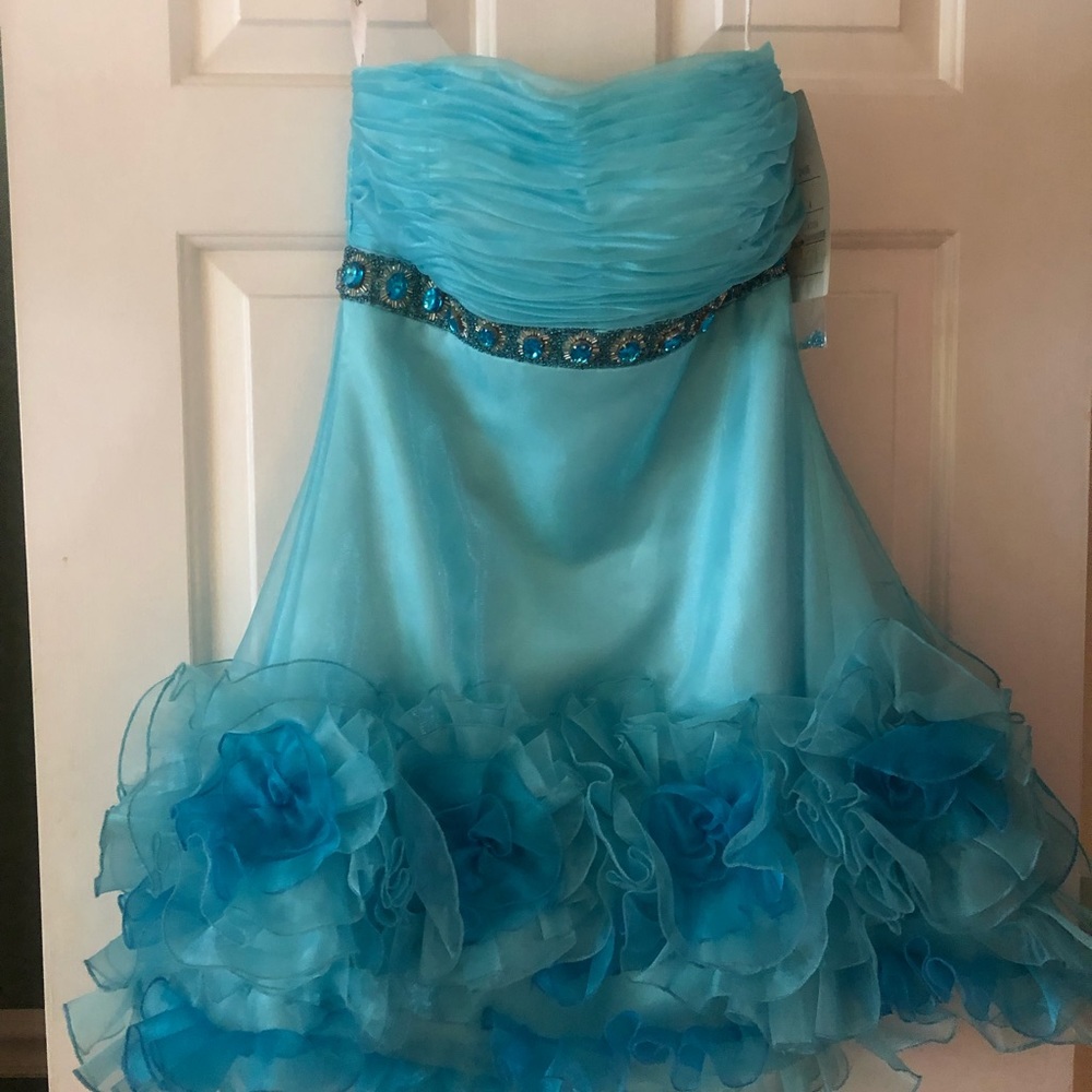 Blue princess collection dress
